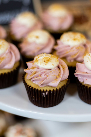 Pink Graham Cracker Cupcake
